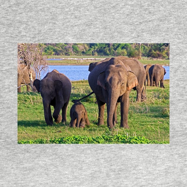 Mother & daughters. by bulljup